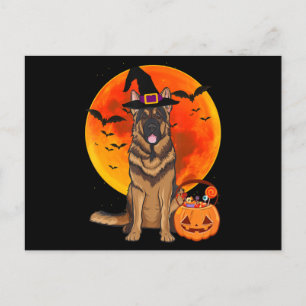 Cartão Postal De Convite Cão German shepherd de Halloween Jack Lanterna Pum
