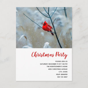 Cartão Postal De Convite Cardeal Vermelho no Natal Foto Natal