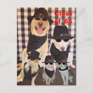 Cartão Postal De Convite Cartão-postal de Reunião de Classe/Convite