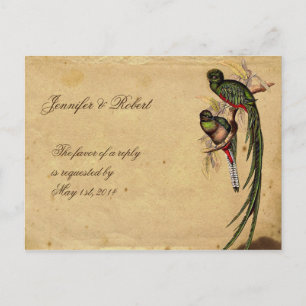 Cartão Postal De Convite Cartão-postal RSVP Elegante do Vintage Quetzal Bir