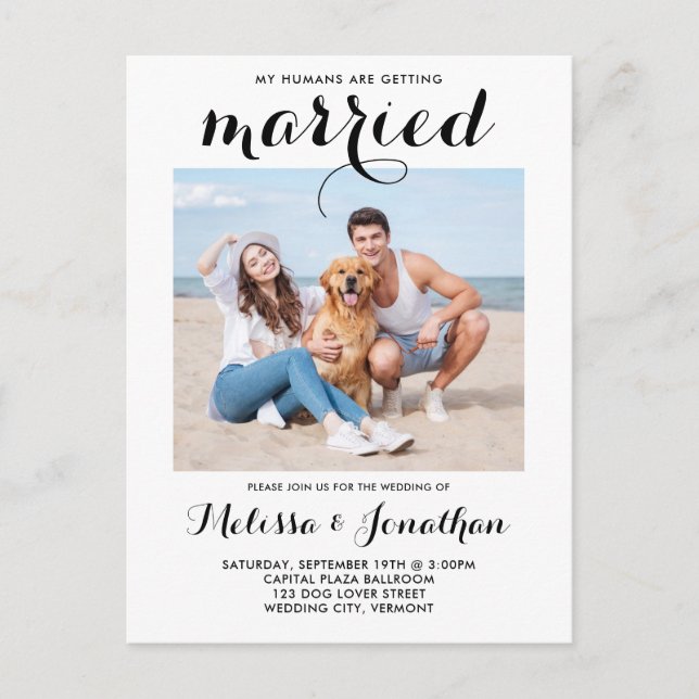 Cartão Postal De Convite Casamento de Pet Personalizado de Foto Moderno (Frente)