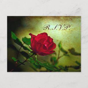 Cartão Postal De Convite casamento gótico com rosa vermelha de jardim