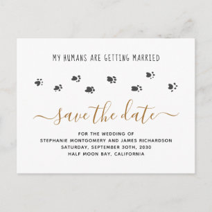 Cartão Postal De Convite Casamento Humano Pet Casamento Salve a Data