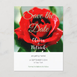 Cartão Postal De Convite Casamento Rosa Vermelha Salve a Data