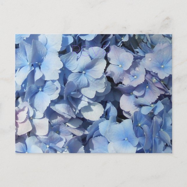 Cartão Postal De Convite Casamento RSVP de Hydrangea Azul (Frente)