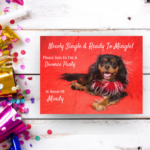 Cartão Postal De Convite Cavalier King Charles Spaniel do Partido Divorciár