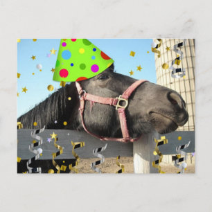 Cartão Postal De Convite Cavalo de Festa