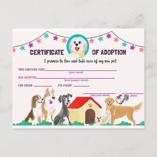 Cartão Postal De Convite Certificado de Adoção de Pupppy para Pet (Frente)