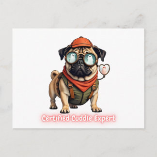 Cartão Postal De Convite Certified Cuddle Expert Invitation Postcard