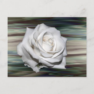 Cartão Postal De Convite Chá de panela Romântico de Convidados Florais Safa