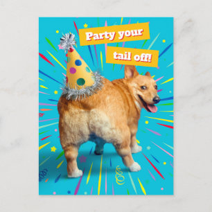 Cartão Postal De Convite Chapéu de Aniversário Bumbum de Corgi