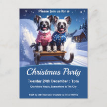 Chinese Crested Christmas Party