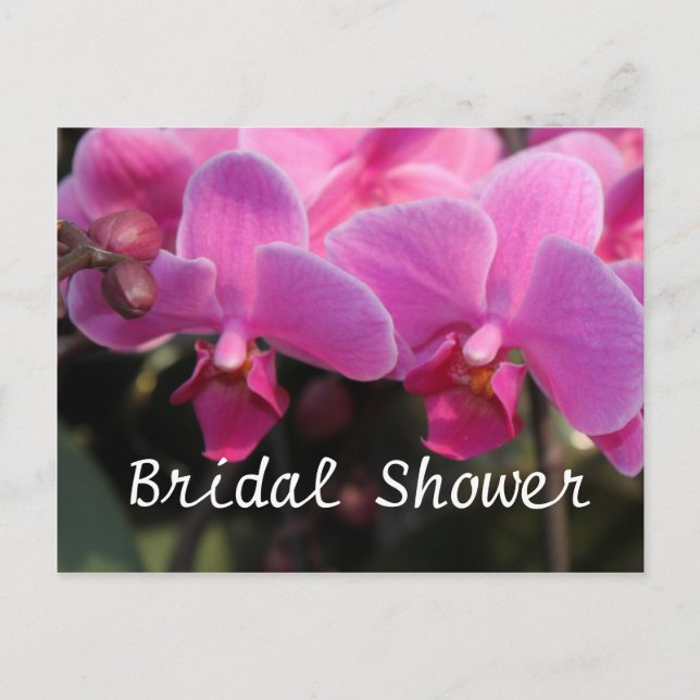 Cartão Postal De Convite Chuva de noiva, flores de orquídea rosa (Frente)