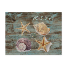 conchas elegantes de madeira barnwood praia casame