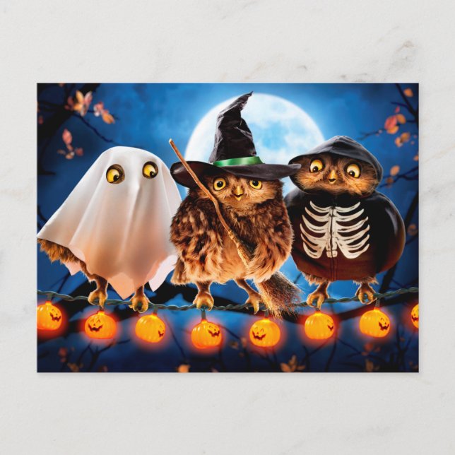 Cartão Postal De Convite Corujas de Halloween (Frente)