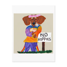 Dachshund Hippie no Letreiro Sem Hippies