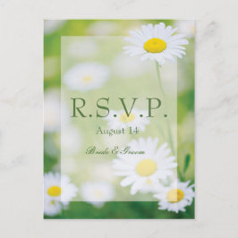 Cartão Postal De Convite Daisy Daisies Flower Floral Summer Weding RSVP
