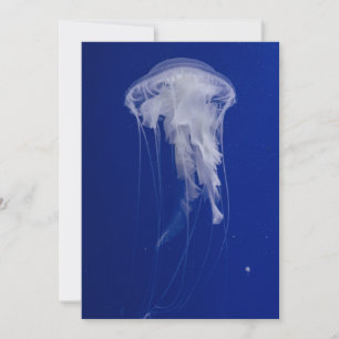 Cartão postal de convite de 5" x 7"