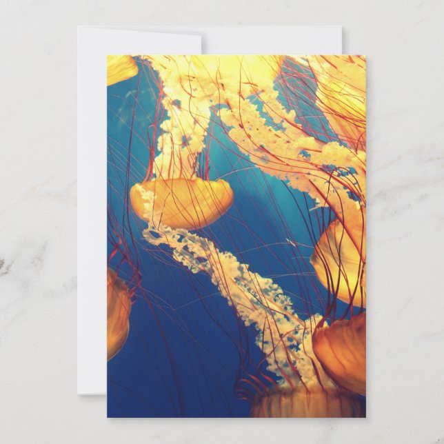 Cartão postal de convite de 5" x 7" (Frente)