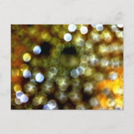 Cartão Postal De Convite Design Dourado