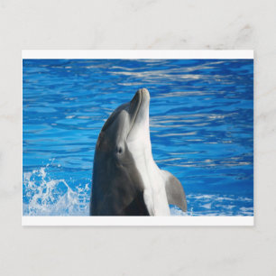 Cartão Postal De Convite Destino bonito do partido do amor da paz da praia
