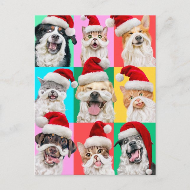 Cartão Postal De Convite Dogs and Cats with Santa Beard (Frente)