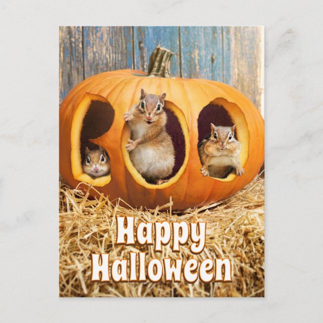 Cartão Postal De Convite  Esquilos Dentro de uma Abóbora de Halloween (Frente)