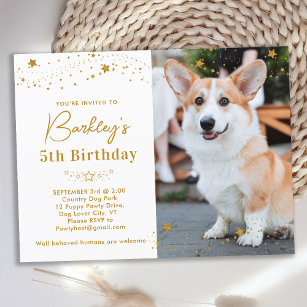 Cartão Postal De Convite Estrelas Douradas Personalizadas Cão Fotográfico d