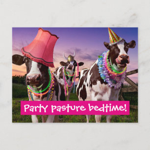 Cartão Postal De Convite Festa Até as Vacas Voltarem para Casa