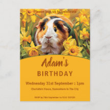 Festa de aniversário de porcos-guineenses