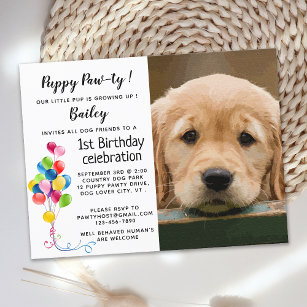 Cartão Postal De Convite Festa de aniversário Pawty Pet Photo Dog