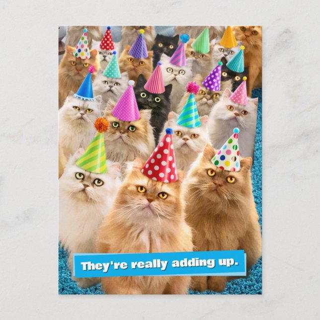 Cartão Postal De Convite Festa de Gatos (Frente)
