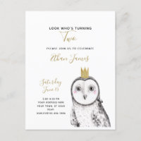 Festa de segundo aniversário de Bebê de Coruja Neg