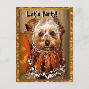 Cartão Postal De Convite Festa de vamos para o Halloween Yorkie