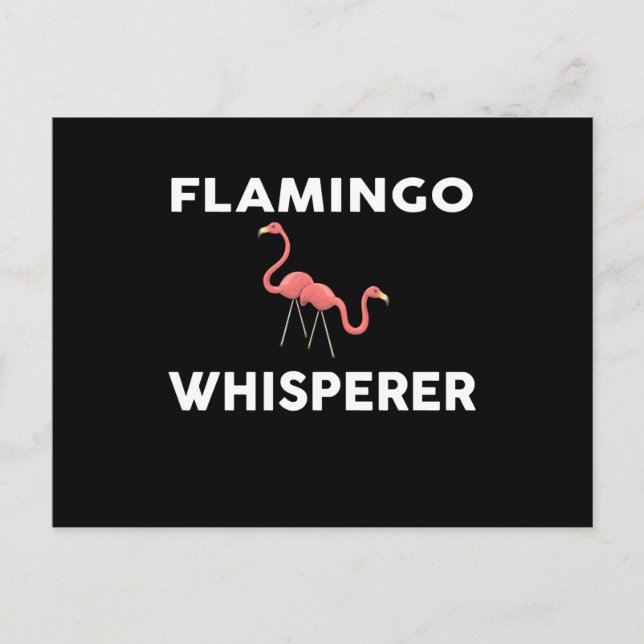 Cartão Postal De Convite Flamingo Whisperer Novelty Flamingos (Frente)