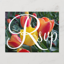 Cartão Postal De Convite Fotos de Tulipas Vermelhas e Amarelas RSVP Contemp