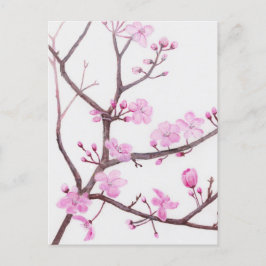 Cartão Postal De Convite Galeria florescente de pêssego rosa no primavera