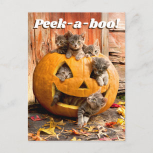 Cartão Postal De Convite Gatinhos em Jack-o-Lantern