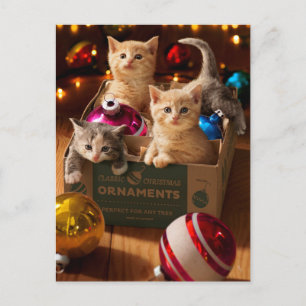 Cartão Postal De Convite Gatinhos na Caixa de Ornamento
