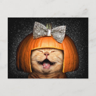 Cartão Postal De Convite Gato Com Cabelo de Abóbora