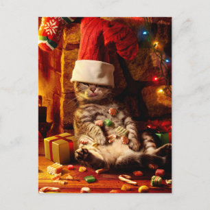 Cartão Postal De Convite Gato Com Meia na Cabeça