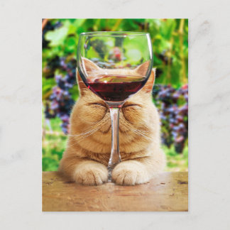 Cartão Postal De Convite Gato com Vidro de Vinho