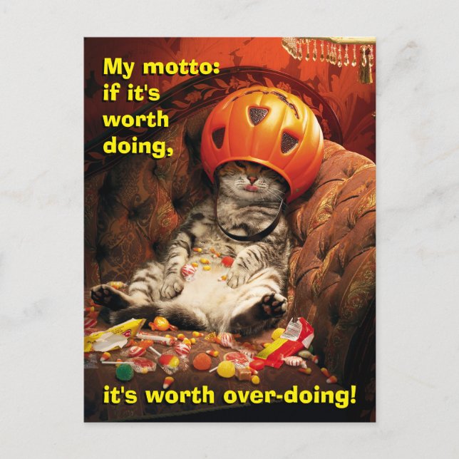 Cartão Postal De Convite Gato Debaixo do Balde de Doces (Frente)