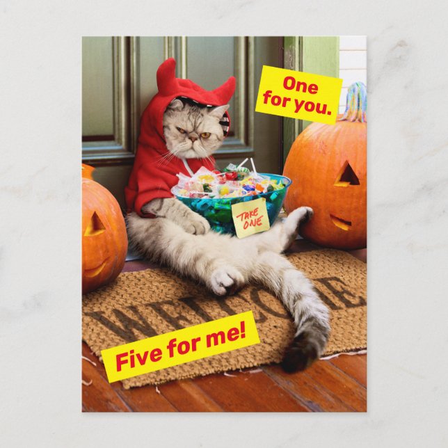 Cartão Postal De Convite Gato Diabo Irritado (Frente)