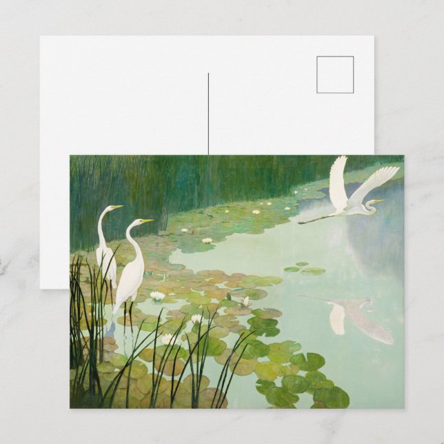 Cartão Postal De Convite Herões no Verão por Newell Convers Wyeth (Frente/Verso)