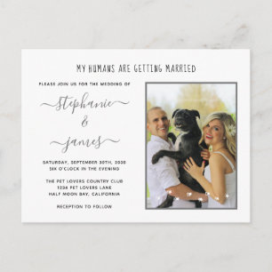 Cartão Postal De Convite Humanos se Casando Foto de Casamento de Animal de 