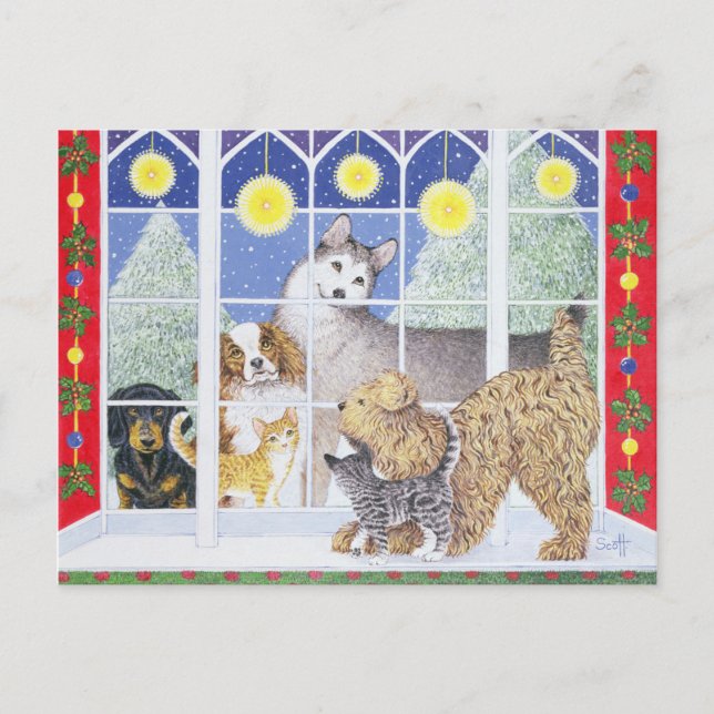 Cartão Postal De Convite Ingressar na Parte (Frente)