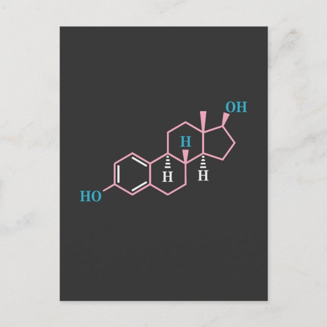 Cartão Postal De Convite Orgulho Divertido Transgênero Trans LGBT Direitos  (Frente)