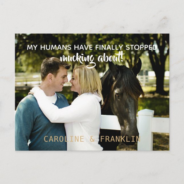 Cartão Postal De Convite Os Meus Humanos Pararam De Chocar Com O Noivado (Frente)