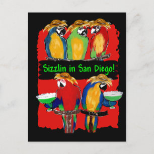 Cartão Postal De Convite PAPagaios DE FESTA